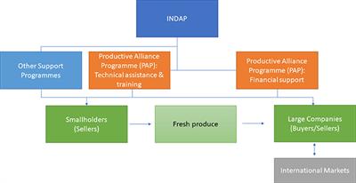 Public policies, sustainability, and smallholder producers' access to the market. The Productive Alliance Programme in Chile: A case study